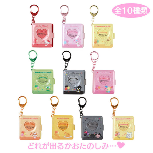 [STYLE A - Pink] Sanrio Characters Award 1st Edition Secret Album Keychain Blind Box